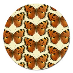 Butterflies Insects Magnet 5  (round) by Mariart