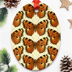 Butterflies Insects Oval Ornament (two Sides) by Mariart