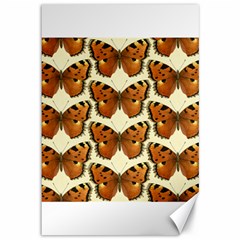 Butterflies Insects Canvas 12  X 18  by Mariart