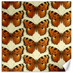 Butterflies Insects Canvas 16  X 16  by Mariart