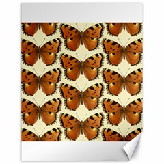 Butterflies Insects Canvas 18  X 24  by Mariart