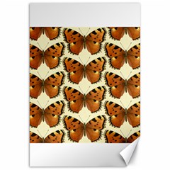 Butterflies Insects Canvas 20  X 30  by Mariart