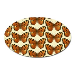 Butterflies Insects Oval Magnet by Mariart