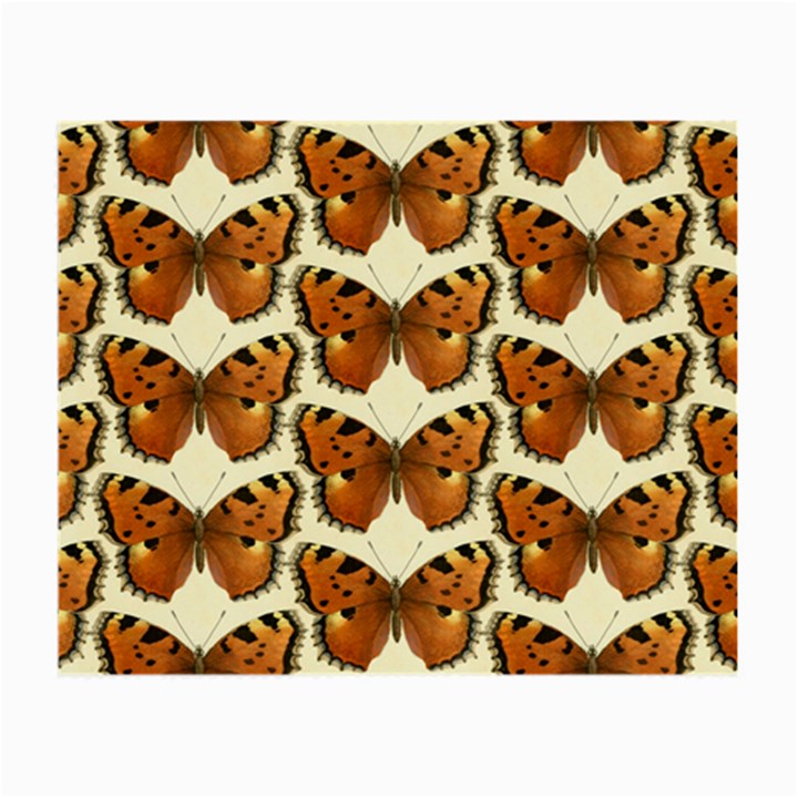 Butterflies Insects Small Glasses Cloth