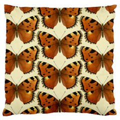 Butterflies Insects Large Cushion Case (two Sides) by Mariart