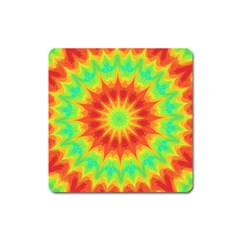 Kaleidoscope Background Mandala Red Green Square Magnet by Mariart