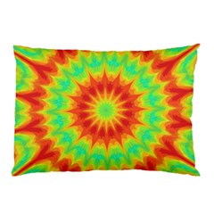 Kaleidoscope Background Mandala Red Green Pillow Case (two Sides) by Mariart