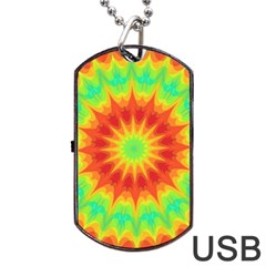 Kaleidoscope Background Mandala Red Green Dog Tag Usb Flash (two Sides) by Mariart