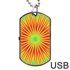 Kaleidoscope Background Mandala Red,green Sun Dog Tag Usb Flash (two Sides) by Mariart