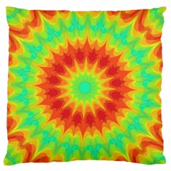 Kaleidoscope Background Red Yellow Standard Flano Cushion Case (two Sides) by Mariart