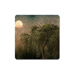 Willow At Sunset Square Magnet by LoolyElzayat