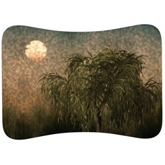 Willow At Sunset Velour Seat Head Rest Cushion by LoolyElzayat