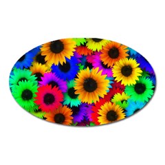 Sunflower Colorful Oval Magnet by Mariart