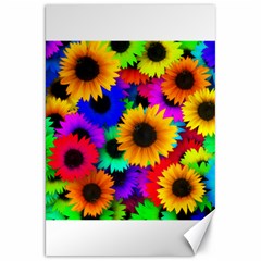 Sunflower Colorful Canvas 20  X 30  by Mariart