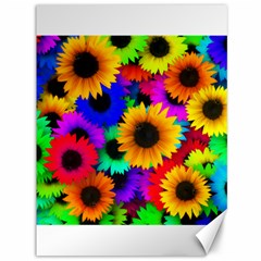 Sunflower Colorful Canvas 36  X 48  by Mariart