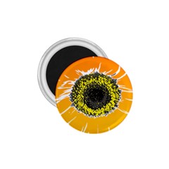 Sunflower Flower Yellow Orange 1 75  Magnets by Mariart