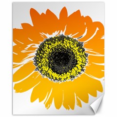 Sunflower Flower Yellow Orange Canvas 11  X 14 