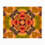 Fractals Graphic Fantasy Colorful Small Glasses Cloth (2-Side) Front