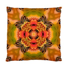 Fractals Graphic Fantasy Colorful Standard Cushion Case (one Side) by Pakrebo