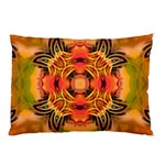 Fractals Graphic Fantasy Colorful Pillow Case (Two Sides) Front