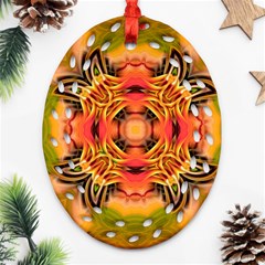 Fractals Graphic Fantasy Colorful Oval Filigree Ornament (two Sides) by Pakrebo