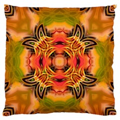 Fractals Graphic Fantasy Colorful Large Flano Cushion Case (one Side) by Pakrebo