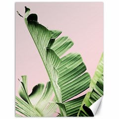 Banana leaf Canvas 18  x 24 