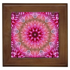 Flower Mandala Art Pink Abstract Framed Tiles by Pakrebo