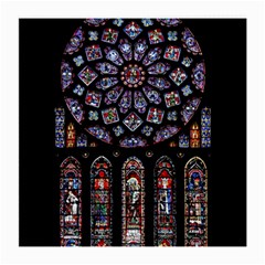 Rosette Cathedral Medium Glasses Cloth (2-side) by Pakrebo