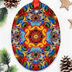 Farbenpracht Kaleidoscope Oval Ornament (two Sides) by Pakrebo