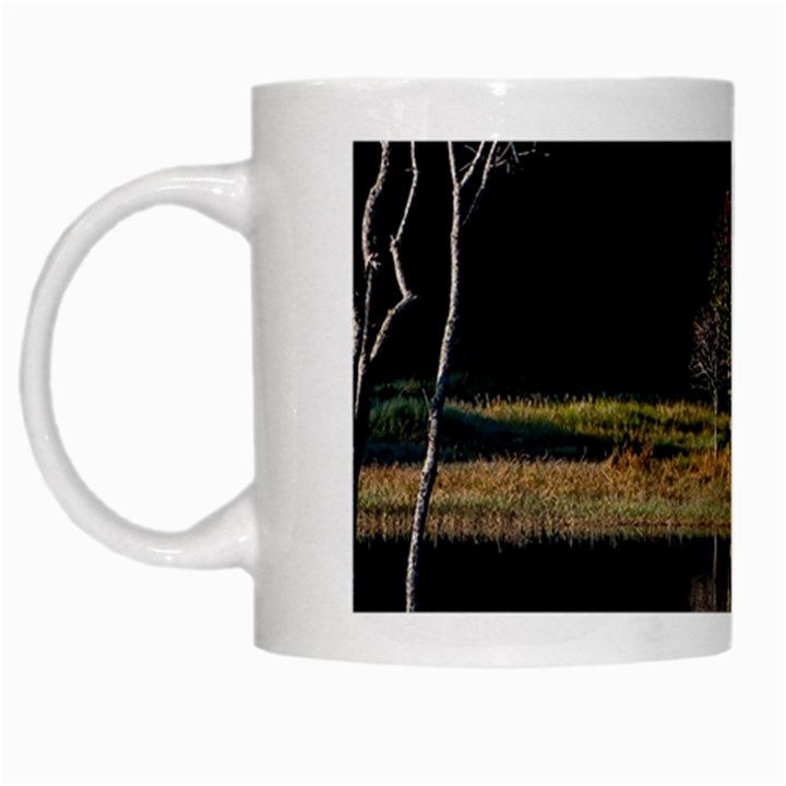 Soi Ball Symmetry Scenery Reflect White Mugs