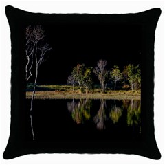 Soi Ball Symmetry Scenery Reflect Throw Pillow Case (black) by Pakrebo