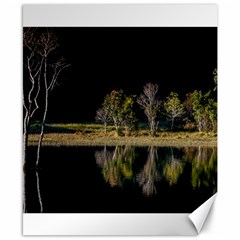 Soi Ball Symmetry Scenery Reflect Canvas 8  X 10  by Pakrebo