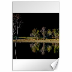 Soi Ball Symmetry Scenery Reflect Canvas 20  X 30  by Pakrebo