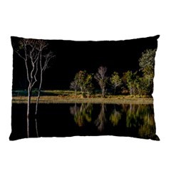 Soi Ball Symmetry Scenery Reflect Pillow Case (two Sides)