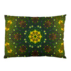 Background Image Wallpaper Pillow Case by Pakrebo