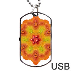 Pattern Symbol Ornament Symbolism Dog Tag Usb Flash (one Side) by Pakrebo