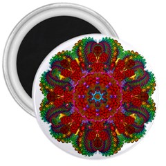 Mandala Fractal Graphic Design 3  Magnets by Pakrebo