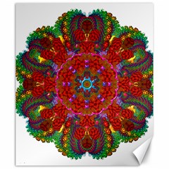 Mandala Fractal Graphic Design Canvas 20  X 24  by Pakrebo