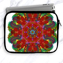 Mandala Fractal Graphic Design Apple Ipad 2/3/4 Zipper Cases by Pakrebo