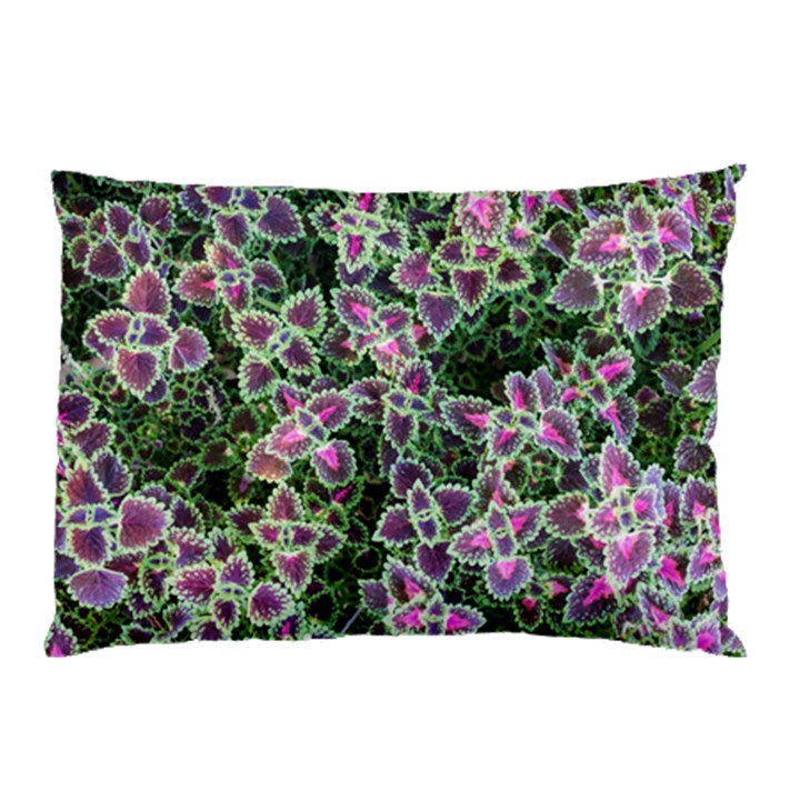 Ivy Lace Flower Flora Garden Pillow Case