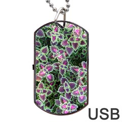 Ivy Lace Flower Flora Garden Dog Tag Usb Flash (one Side) by Pakrebo