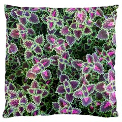 Ivy Lace Flower Flora Garden Standard Flano Cushion Case (two Sides) by Pakrebo