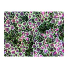 Ivy Lace Flower Flora Garden Double Sided Flano Blanket (mini)  by Pakrebo