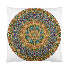 Colorful Pattern Color Standard Cushion Case (two Sides) by Pakrebo