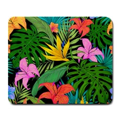 Tropical Adventure Large Mousepads