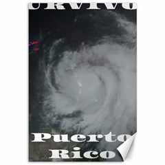 Survivor Of Hurricane Maria Puerto Rico Canvas 12  X 18  by StarvingArtisan