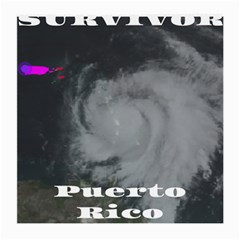 Survivor Of Hurricane Maria Puerto Rico Medium Glasses Cloth by StarvingArtisan