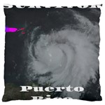 Survivor of Hurricane Maria Puerto Rico Standard Flano Cushion Case (Two Sides) Front