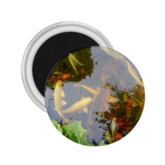 Koi Fish Pond 2 25  Magnets by StarvingArtisan